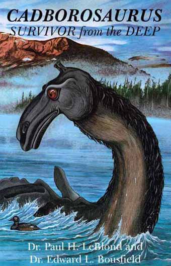 Cadborosaurus SFTD