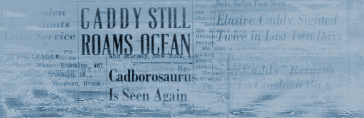 Sightings Banner